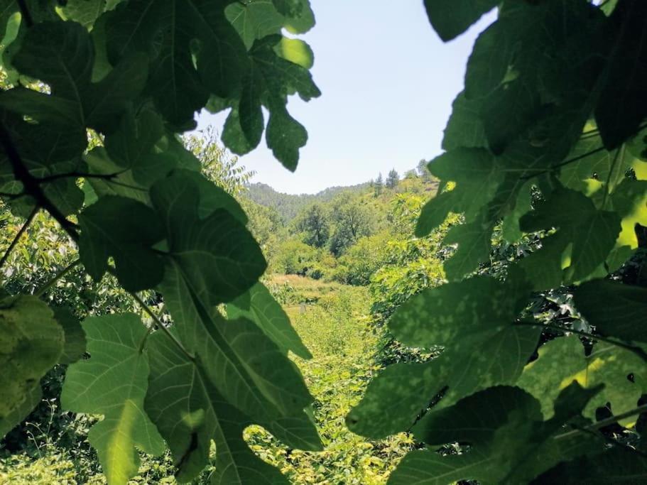 La Casirria Villa Olba Kültér fotó