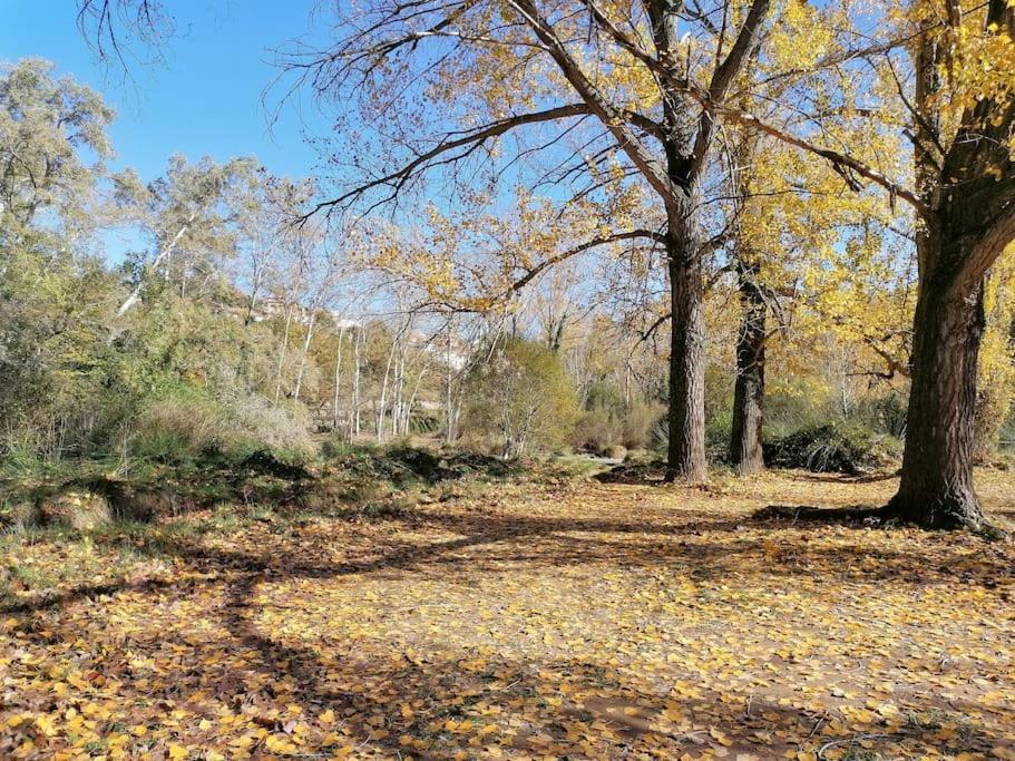 La Casirria Villa Olba Kültér fotó